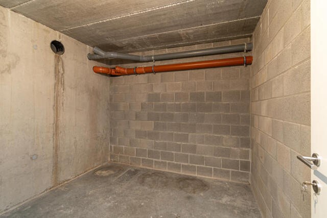 Merksplas Leest 36-38 afbeelding 2