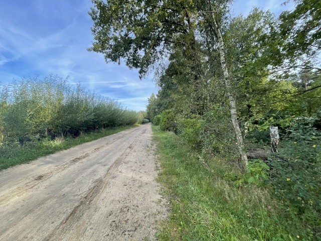 Boskant, Pulderbos afbeelding 1