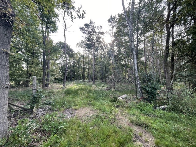 Boskant, Pulderbos afbeelding 2