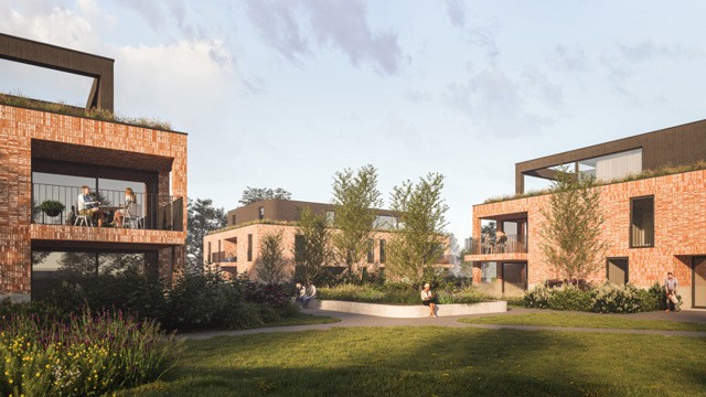 Balen Ter Leysen November 2024 6346252 afbeelding 1