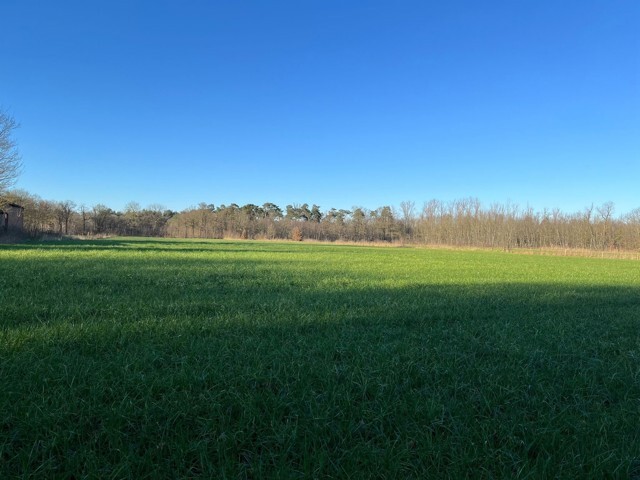 GEEL TEN AARD - Grotekievit z/n (landbouwgrond) afbeelding 1