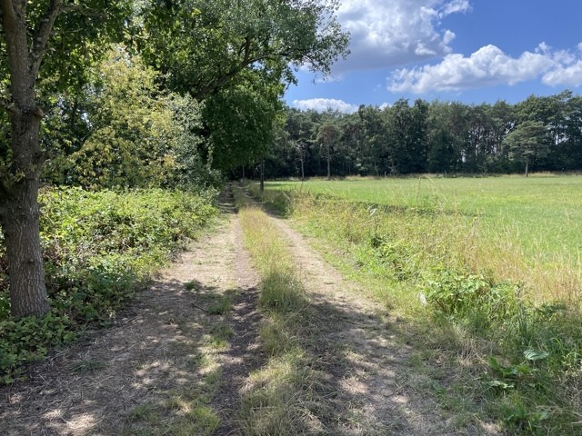 Kapellebaan 52, Zandhoven afbeelding 3