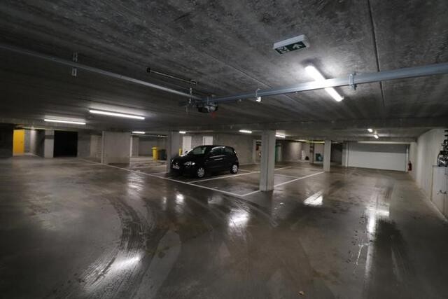 Vlimmeren Antwerpseweg 246 / P16 afbeelding 3