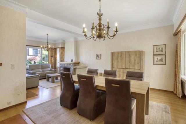 GEEL Vogelzang 72 afbeelding 3