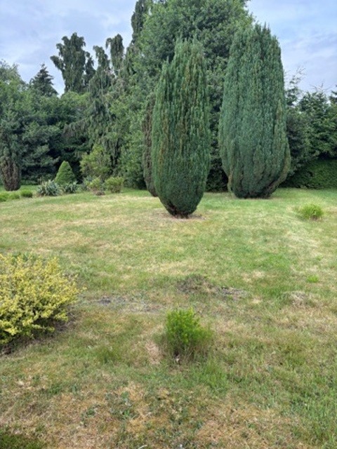 Zandstraat 4 - EBKM afbeelding 2