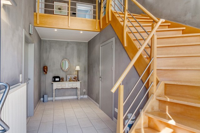 GEEL Hanestrik 50 afbeelding 3