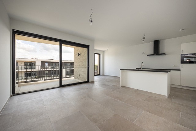 Oud-Turnhout, Rapenstraat, 12 bus 8 afbeelding 3