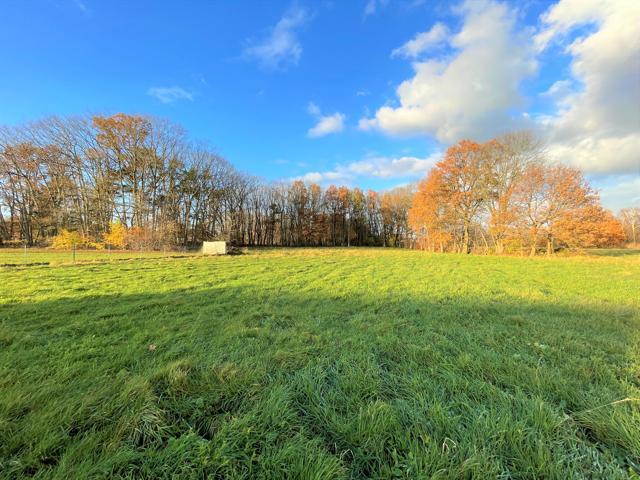 VELDONKSTRAAT - 3128 TREMELO afbeelding 4