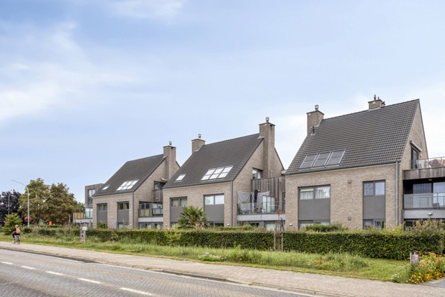 Troon 2 bus 203, Grobbendonk afbeelding 1