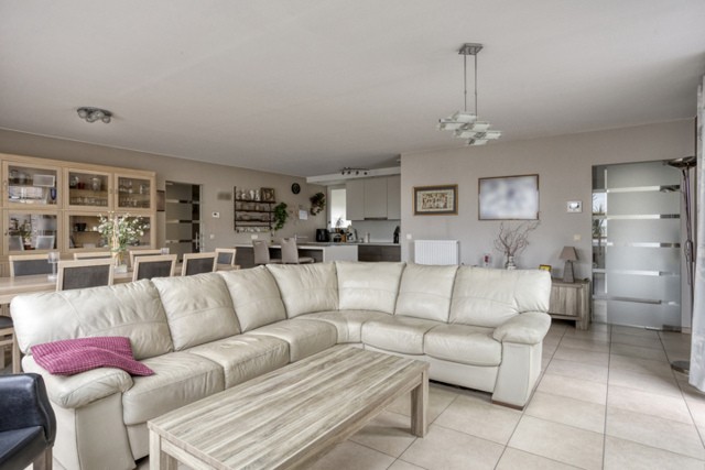 Troon 2 bus 203, Grobbendonk afbeelding 3