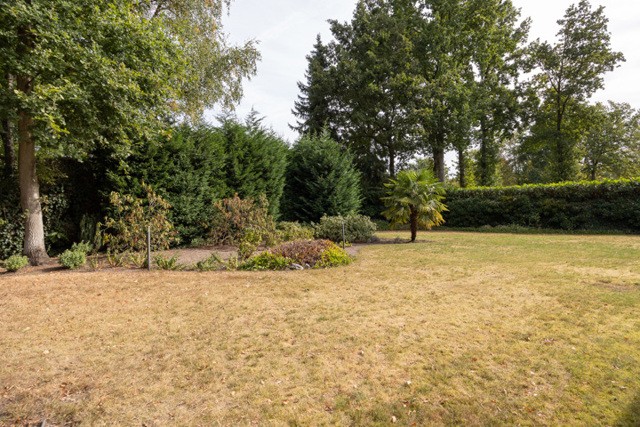 ALFONS SERVAISLEI 47 TE SCHOTEN afbeelding 4