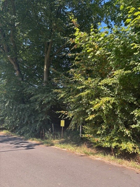 Scherpenberg zn - Keysers/ taeymans afbeelding 3