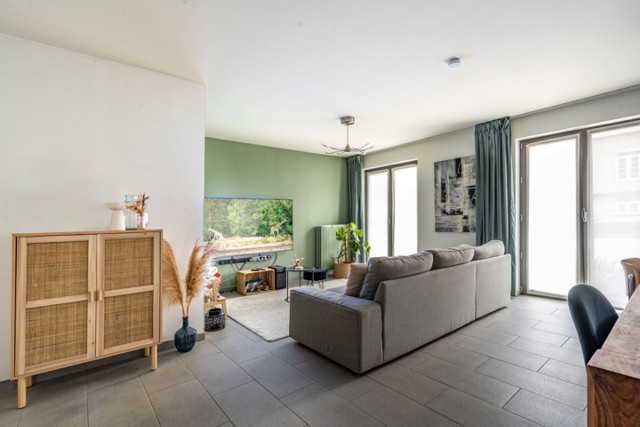 Bredabaan 477 bus 1 afbeelding 2