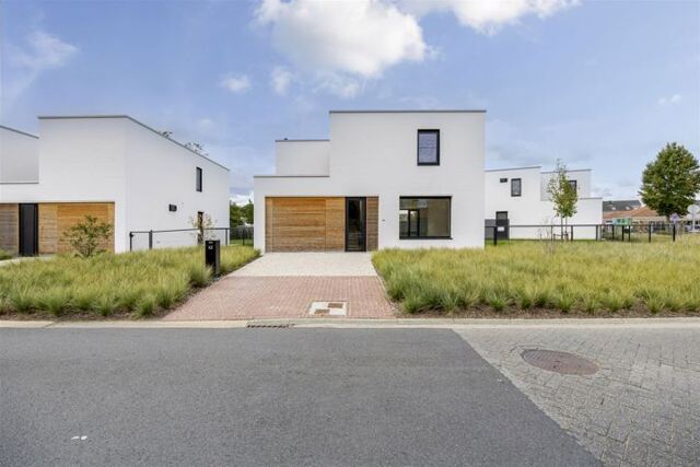 St. Odradastraat 42 afbeelding 3