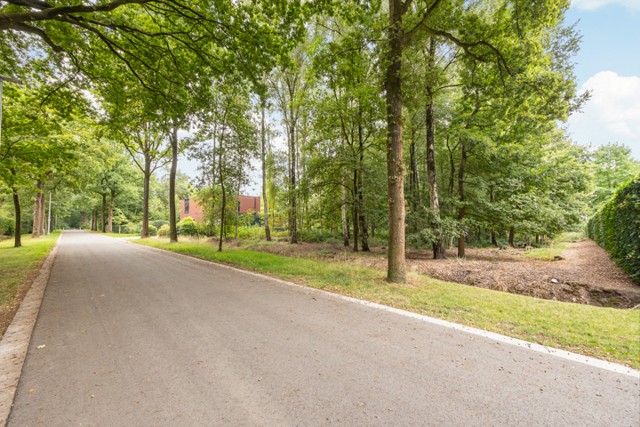 Merksplas Steenovendreef 7 afbeelding 3