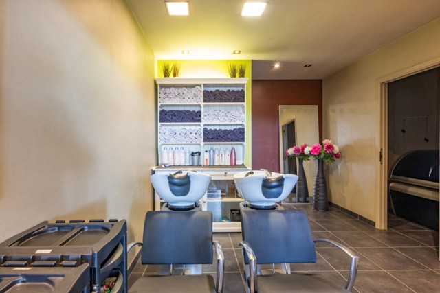 IN OPTIE - BEUKENLAAN 38, BOOM (HANDELSPAND) afbeelding 4