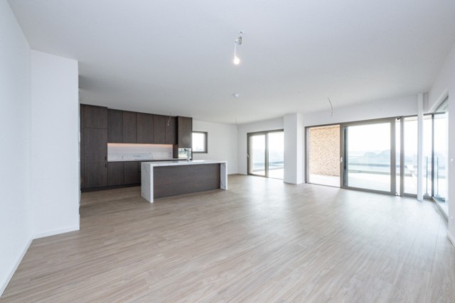 BO'RIVE afbeelding 1