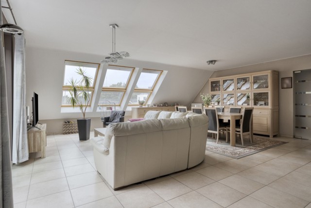 Troon 2 bus 203, Grobbendonk afbeelding 2