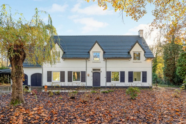 PLATAANDREEF 8 TE SCHOTEN afbeelding 1