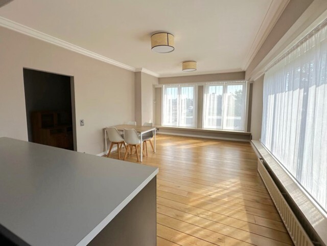 IN OPTIE - FABIOLALAAN 88 BUS 2, SCHELLE afbeelding 3