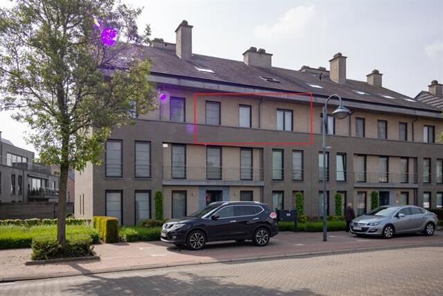 BREDABAAN 359 BUS 6 WUUSTWEZEL afbeelding 1