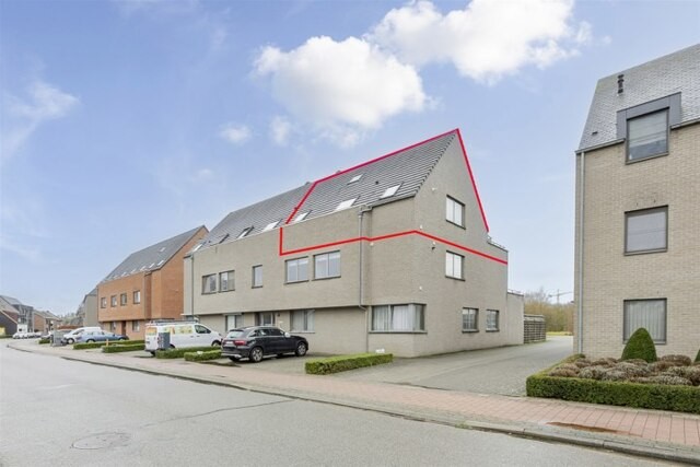 GEEL Laar 69 F afbeelding 1