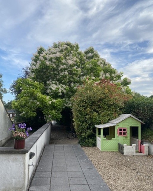 Antwerpsesteenweg 303A - Jasmin Schellekens afbeelding 3