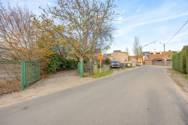 Antwerpsesteenweg 303A - Jasmin Schellekens afbeelding 2