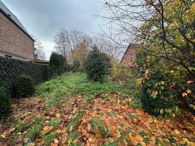 Zeepakker 23 - familie Haest afbeelding 3