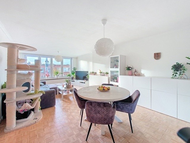 OPSTAL 44 V2 - 2650 EDEGEM afbeelding 2