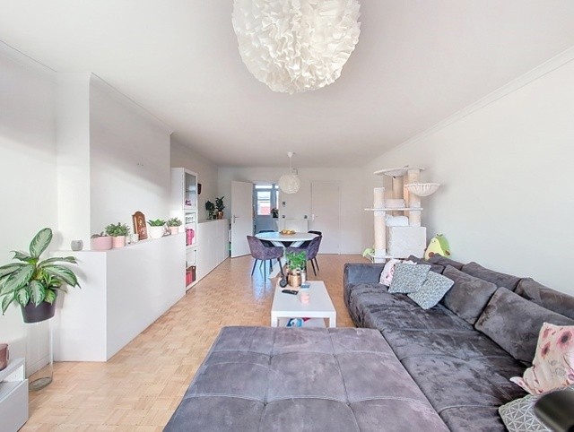 OPSTAL 44 V2 - 2650 EDEGEM afbeelding 3