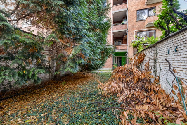 Haantjeslei 197, 2018 Antwerpen afbeelding 3