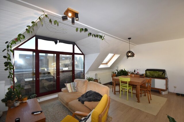 Kasterlee Turnhoutsebaan 71 bus 5 afbeelding 3