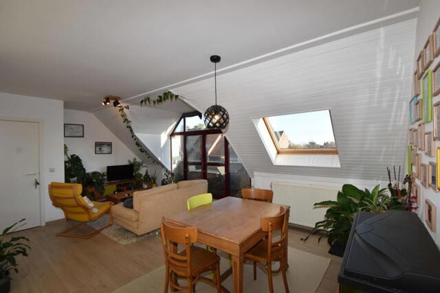 Kasterlee Turnhoutsebaan 71 bus 5 afbeelding 4