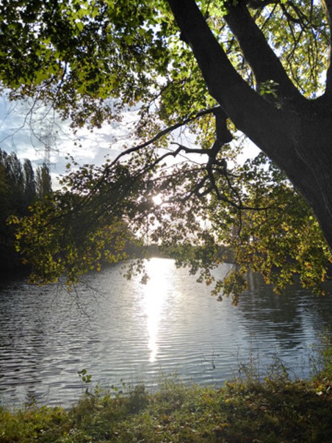 Stroomstraat 2 - 2040 Antwerpen afbeelding 2