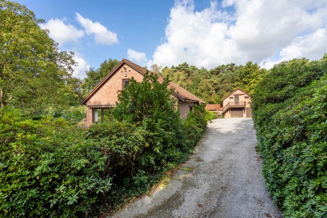 LICHTAART - Villapark 3 afbeelding 3