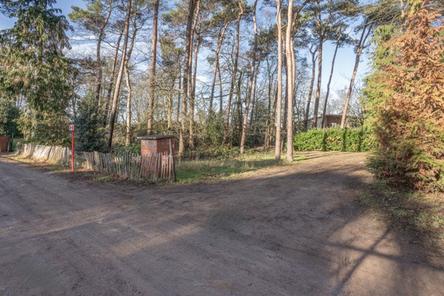 MORELLAAN 43 afbeelding 3