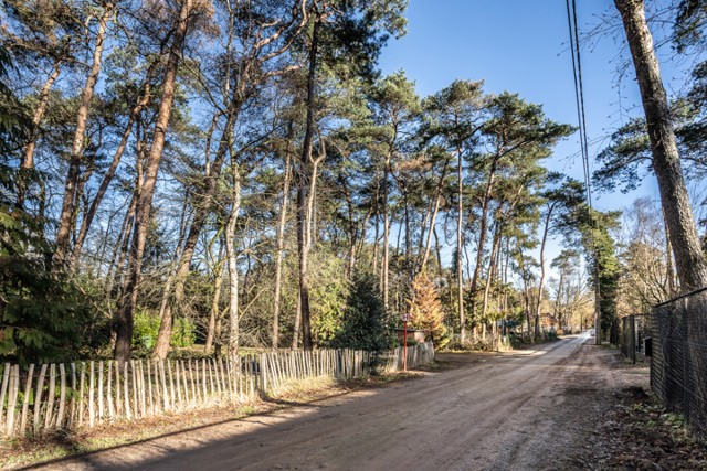 MORELLAAN 43 afbeelding 4