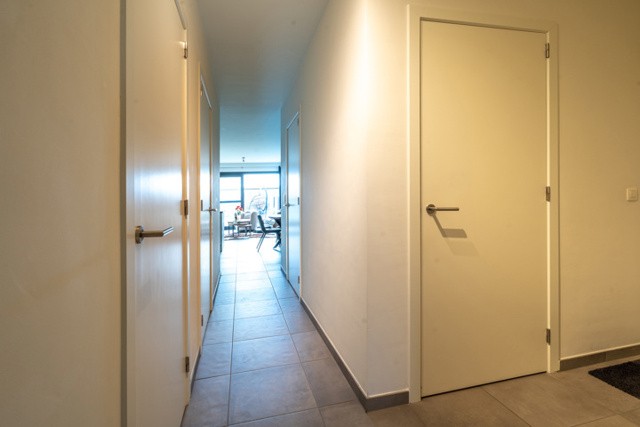 BREDABAAN 223 bus 1 - 2990 WUUSTWEZEL afbeelding 2