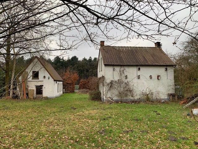 Papdijk41 afbeelding 2