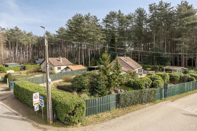 Boshoven 61, Grobbendonk afbeelding 4