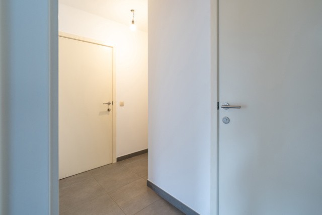 KLOOSTERSTRAAT 80 - 2990 afbeelding 3