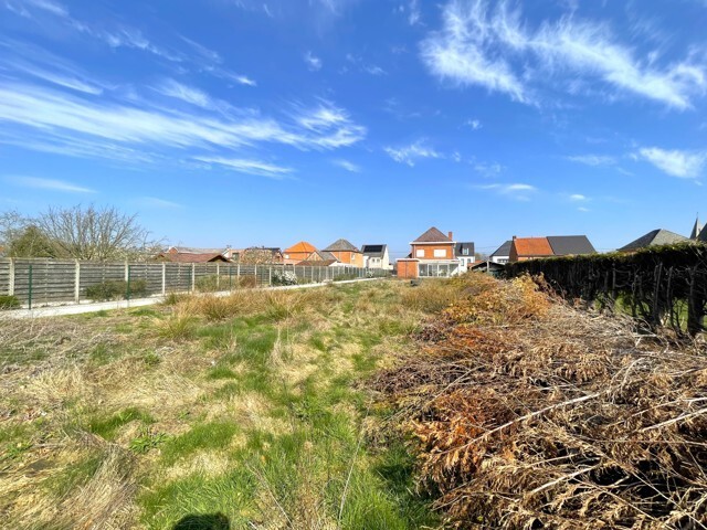 Bunzing 8 - 2221 Heist-op-den-Berg afbeelding 4