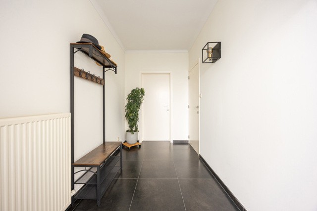 Hoogstraten (Meer) Vredeboomstraat 8 afbeelding 2