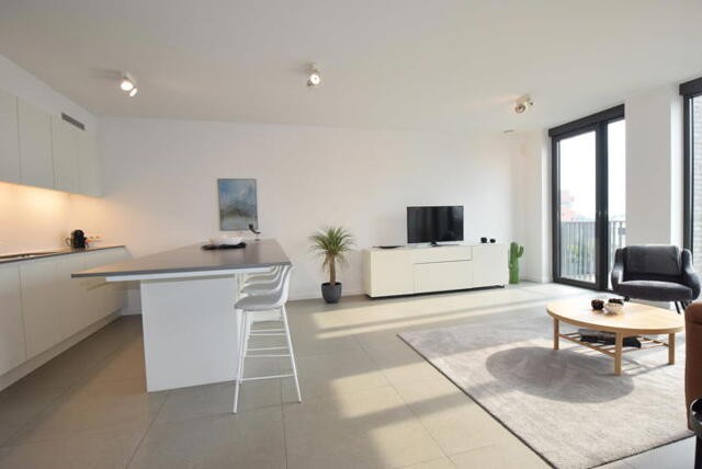 EILANDJE LUXE APPARTEMENT GEMEUBELD afbeelding 1