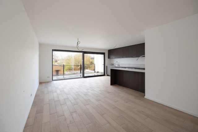 Hoogboomsteenweg 29 bus 101 - 2930 Brasschaat afbeelding 3