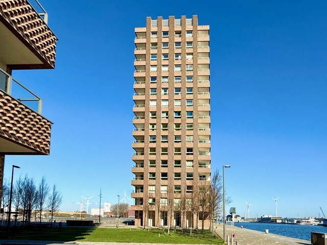 KATTENDIJKDOK - WEST afbeelding 2