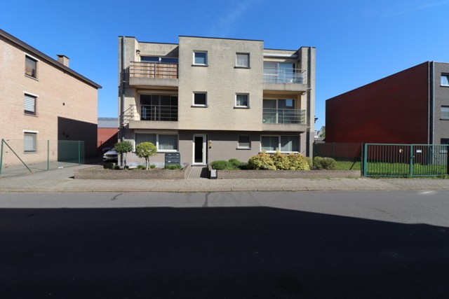 Turnhout Molenbergstraat 7 / B 2 afbeelding 1