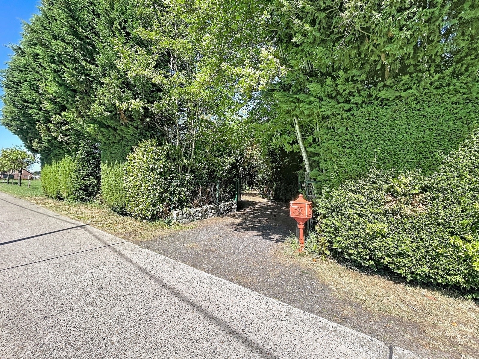 Lacyns 13, Rijkevorsel