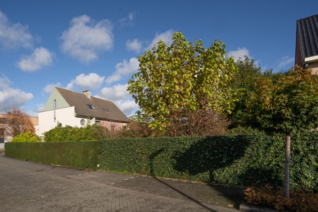 Oude Baan 115 afbeelding 1